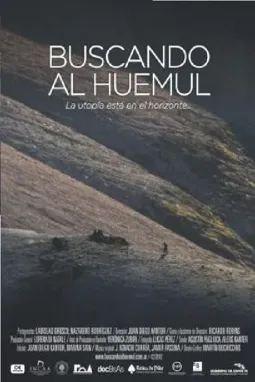 Buscando al huemul - постер