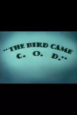 The Bird Came C.O.D. - постер