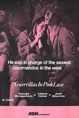 Guerillas in Pink Lace - постер