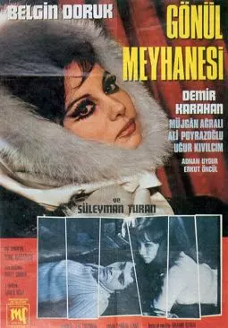 Gönül meyhanesi - постер