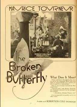 The Broken Butterfly - постер