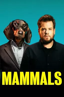 Млекопитающие - постер