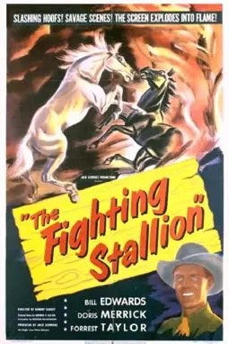 The Fighting Stallion - постер