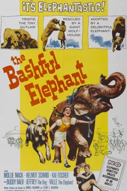 The Bashful Elephant - постер