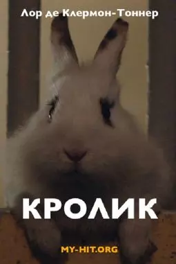 Кролик - постер