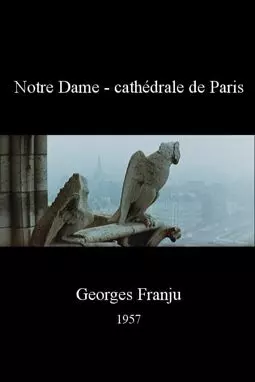 Notre Dame - cathédrale de Paris - постер