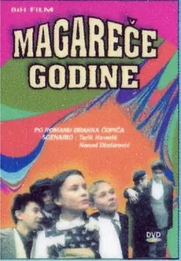 Magarece godine - постер