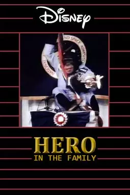 Hero in the Family - постер
