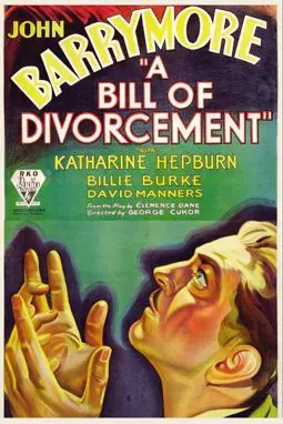 Билль о разводе - постер