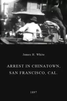 Arrest in Chinatown, San Francisco, Cal. - постер