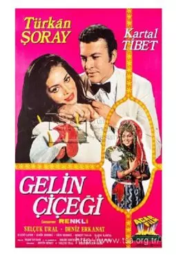 Gelin cicegi - постер