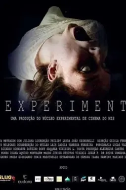 The Experiment - постер