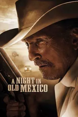 Ночь в старой Мексике - постер