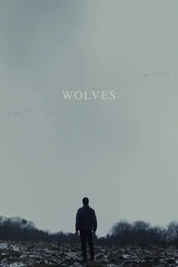 Волки - постер