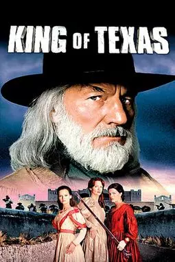 Король Техаса - постер