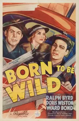 Born to Be Wild - постер