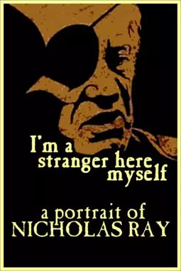 I'm a Stranger Here Myself - постер