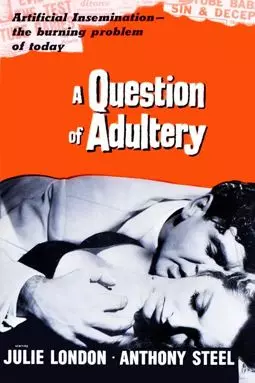 A Question of Adultery - постер
