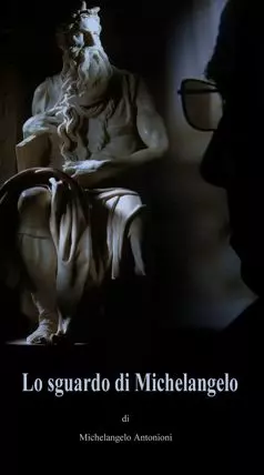 Взгляд Микеланджело - постер