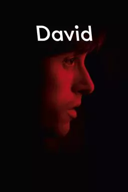 Дэвид - постер