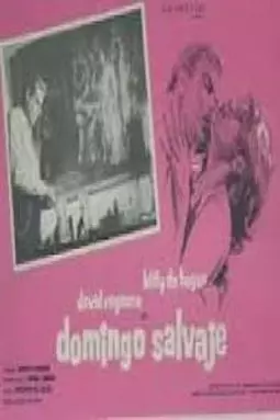 Domingo salvaje - постер