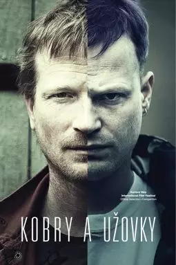 Kobry a Uzovky - постер
