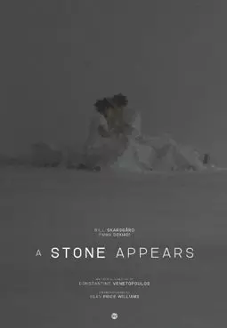 A Stone Appears - постер