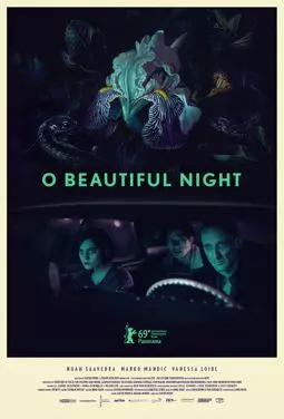 О, прекрасная ночь - постер
