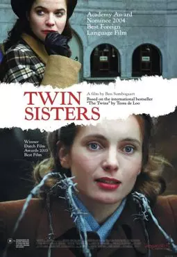Сестры - близнецы - постер
