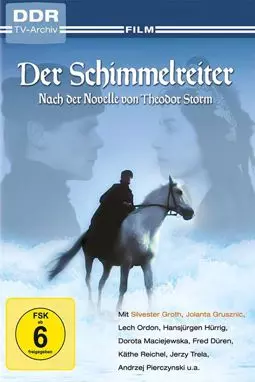 Der Schimmelreiter - постер