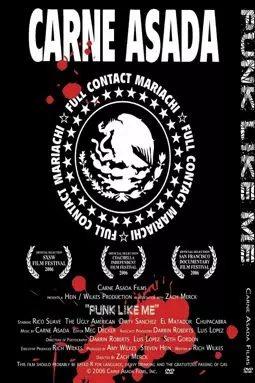 Punk Like Me - постер