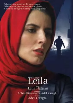 Meeting Leila - постер