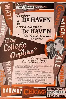 The College Orphan - постер