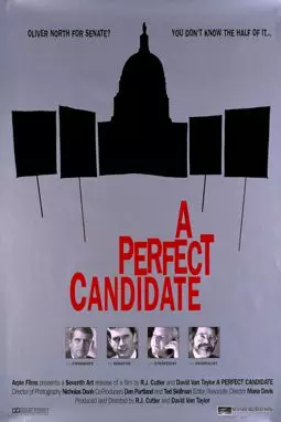 A Perfect Candidate - постер