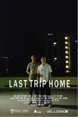 Last Trip Home - постер