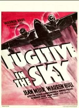 Fugitive in the Sky - постер