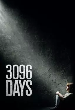 3096 дней - постер