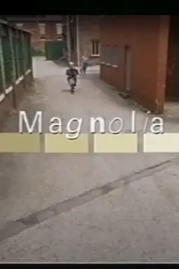 Magnolia - постер