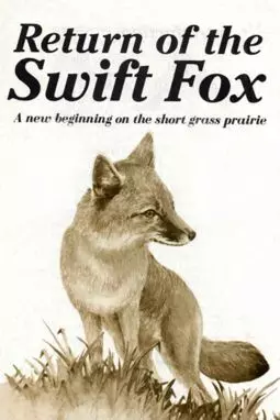 Return of the Swift Fox - постер