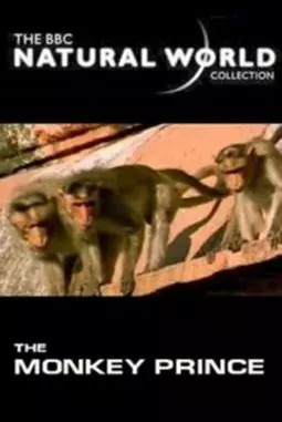 The Monkey Prince - постер