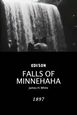 Falls of Minnehaha - постер