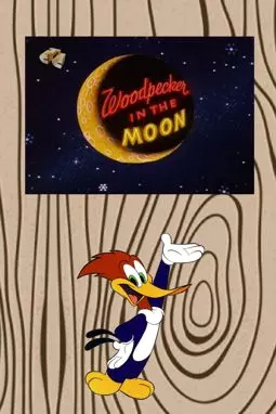Woodpecker in the Moon - постер
