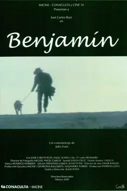 Benjamín - постер