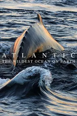 Атлантика: Самый необузданный океан на Земле - постер