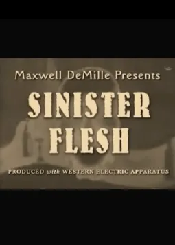 Sinister Flesh - постер