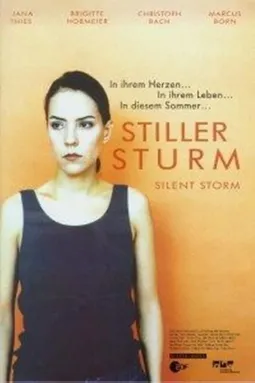 Stiller Sturm - постер