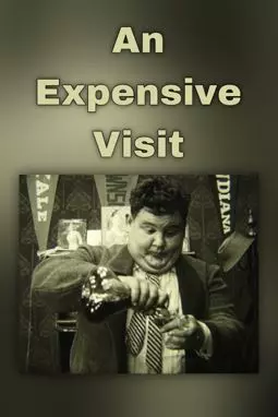An Expensive Visit - постер