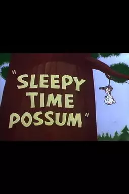 Sleepy Time Possum - постер