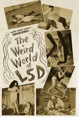 The Weird World of LSD - постер