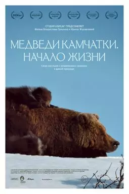 Медведи Камчатки. Начало жизни - постер